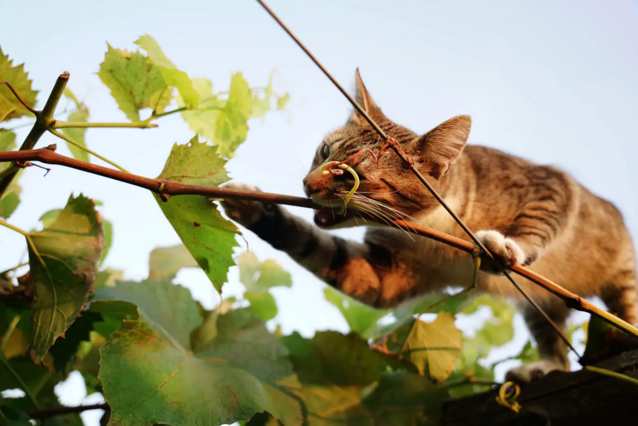 photo 2023 10 16 18 04 13