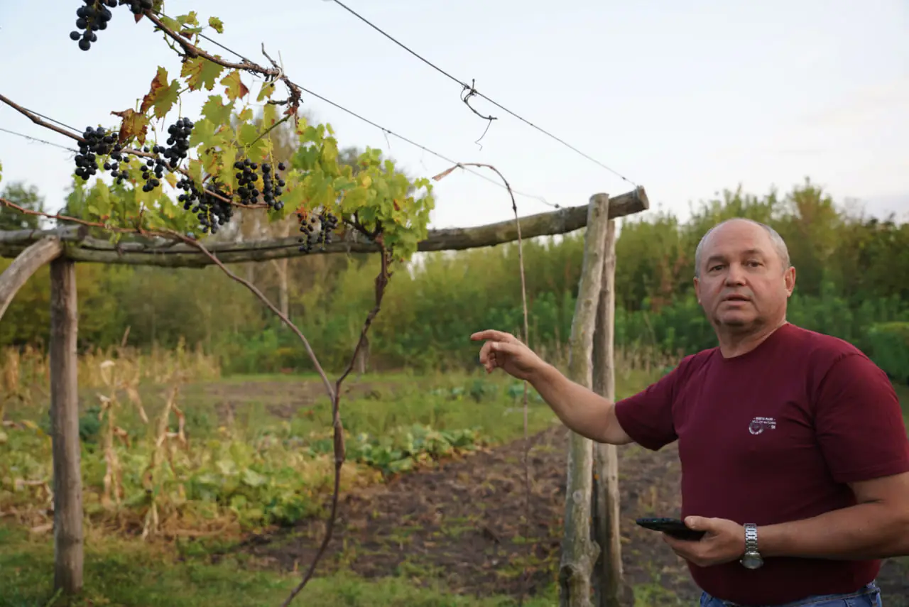 photo 2023 10 17 10 37 26