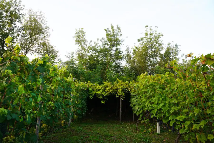 photo 2023 10 17 11 46 15