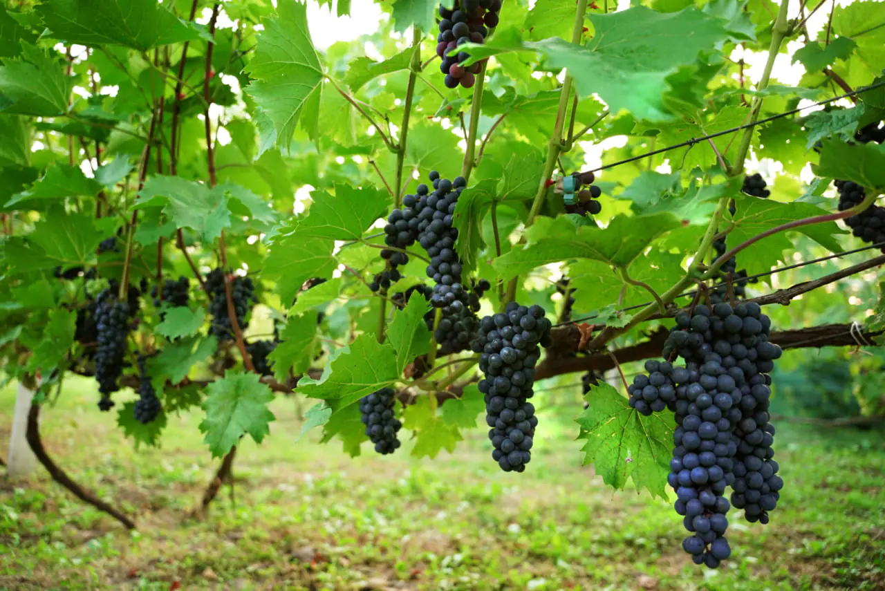 photo 2023 10 17 12 41 39