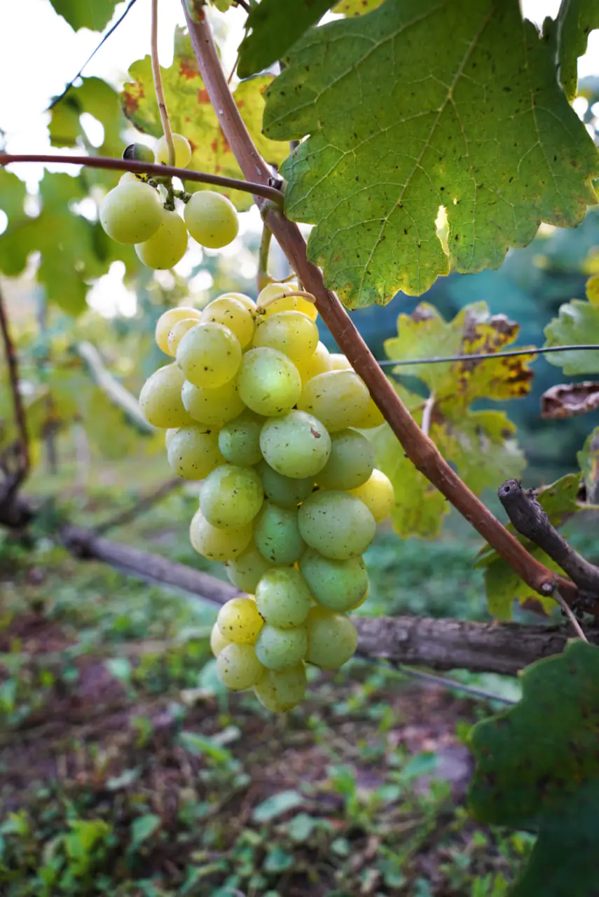 photo 2023 10 17 12 53 08