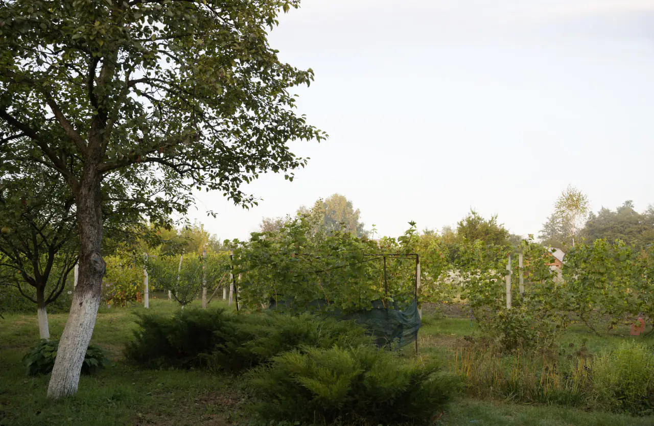 photo 2023 10 17 12 53 09