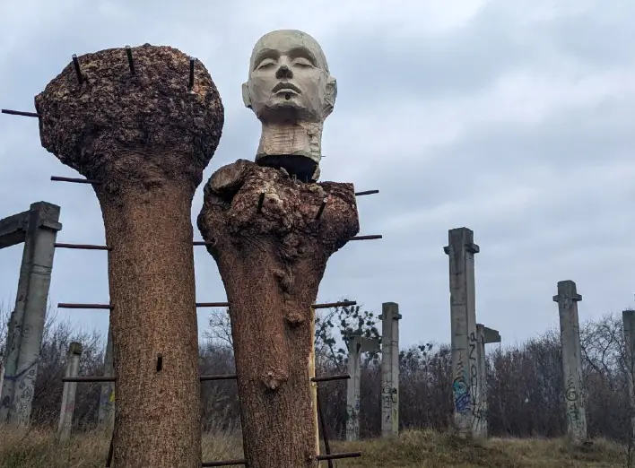 401271463 770537081782815 7743066138382129441 n