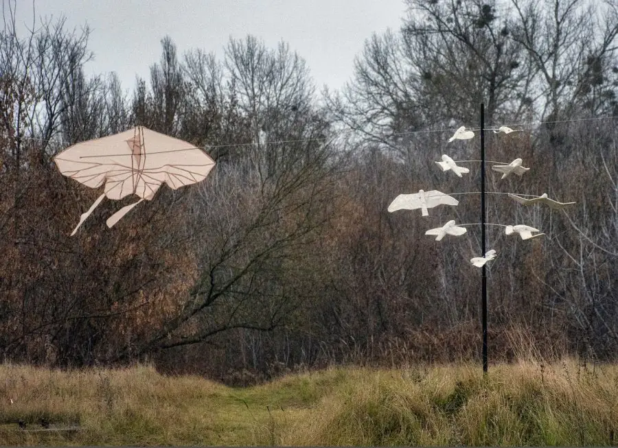 401576845 770537135116143 2030362268706807758 n