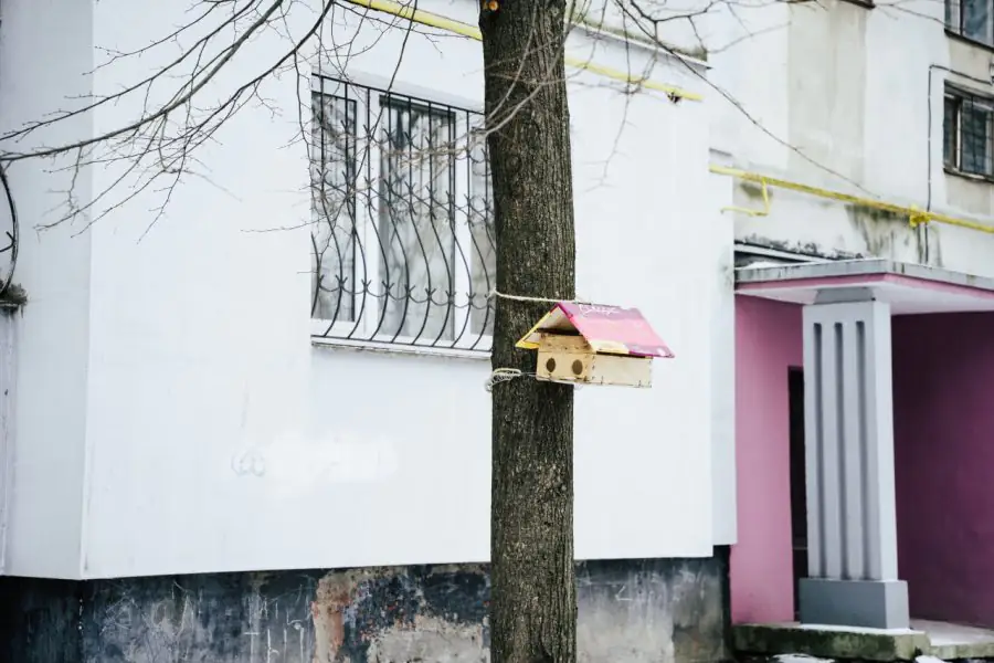 photo 2023 11 22 11 36 27 2