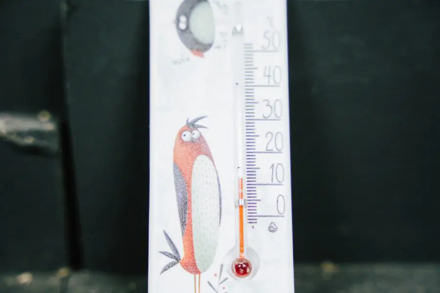 photo 2023 11 27 10 57 38