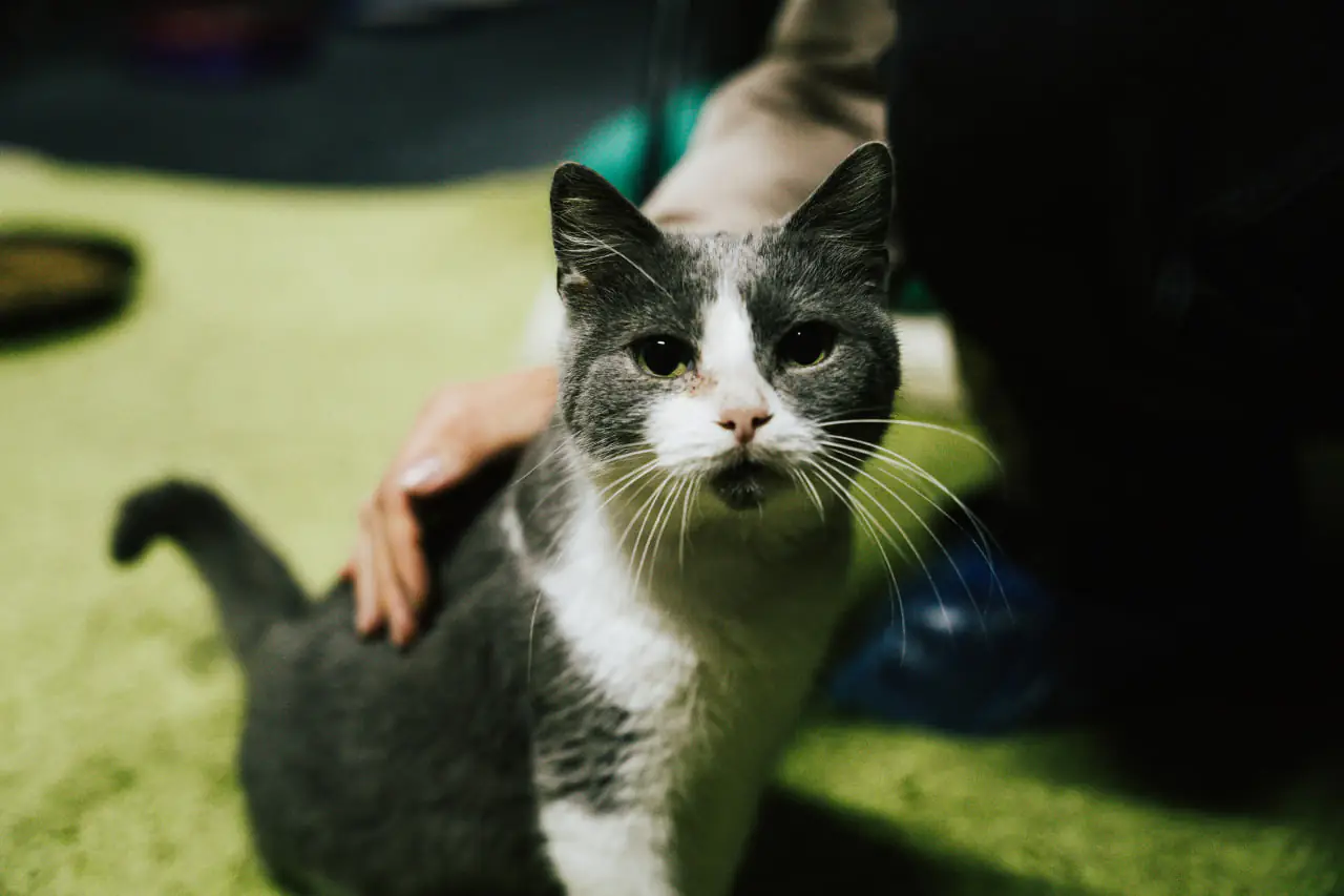 photo 2023 11 27 10 57 40 2