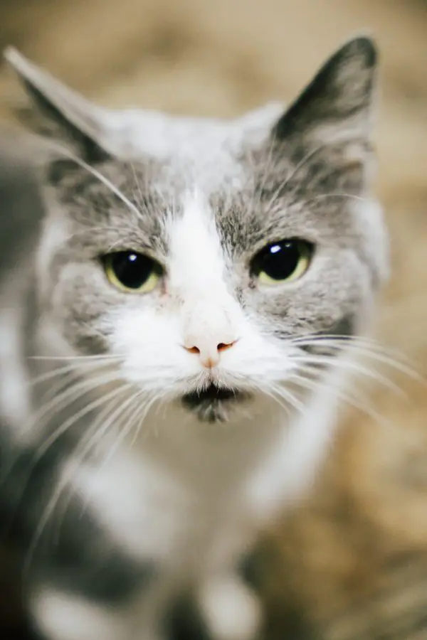 photo 2023 11 27 11 08 03 2