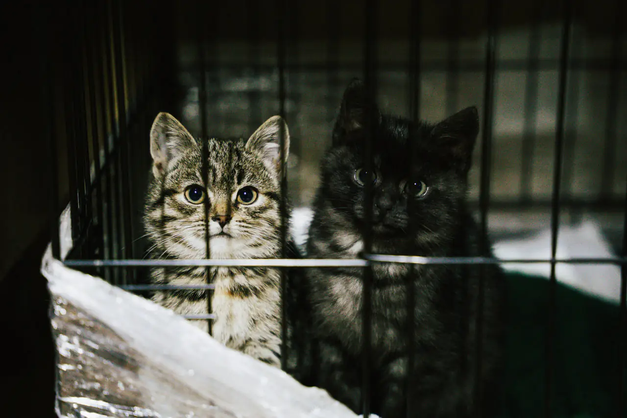 photo 2023 11 27 11 08 03