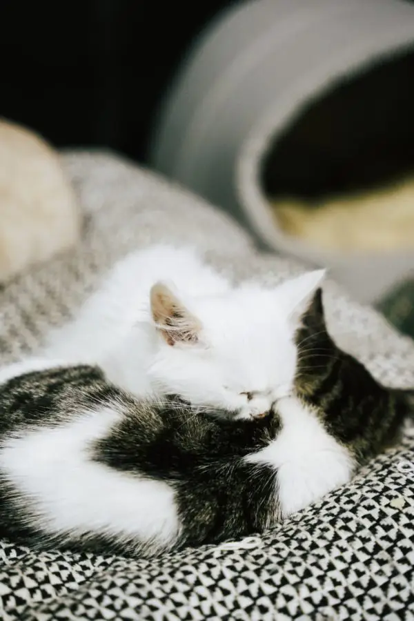 photo 2023 11 27 11 08 04 2