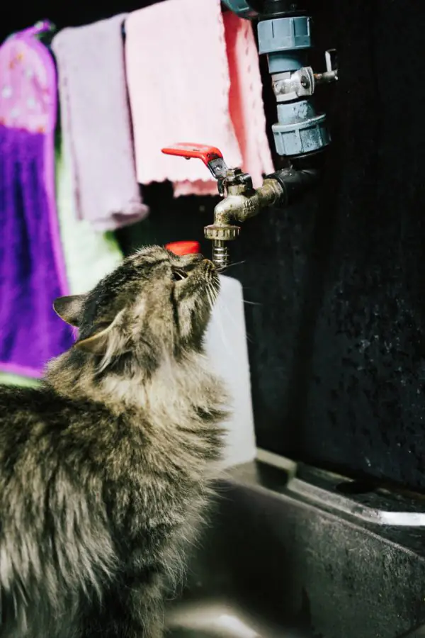 photo 2023 11 27 11 08 04