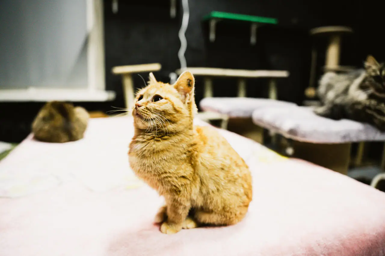 photo 2023 11 27 11 17 16 2