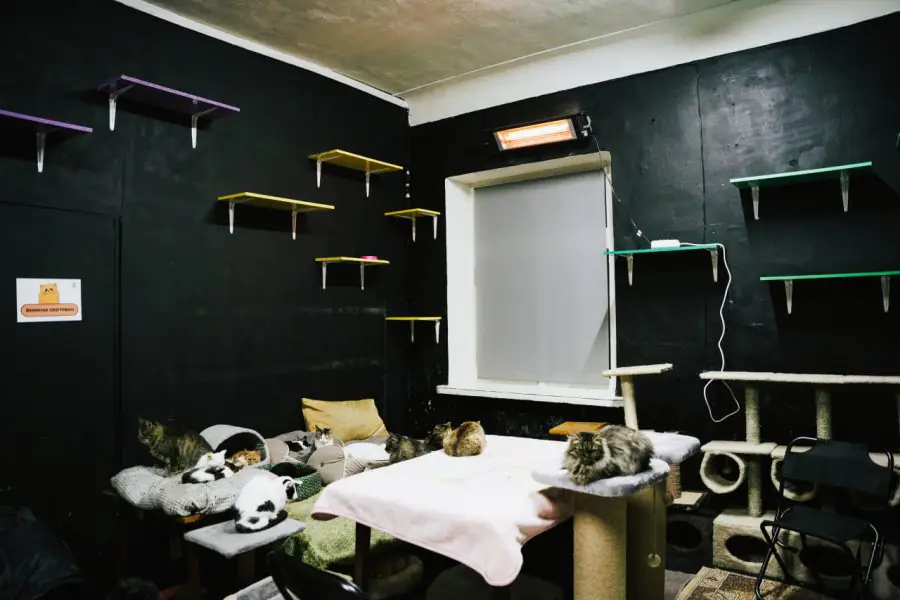 photo 2023 11 27 11 17 16