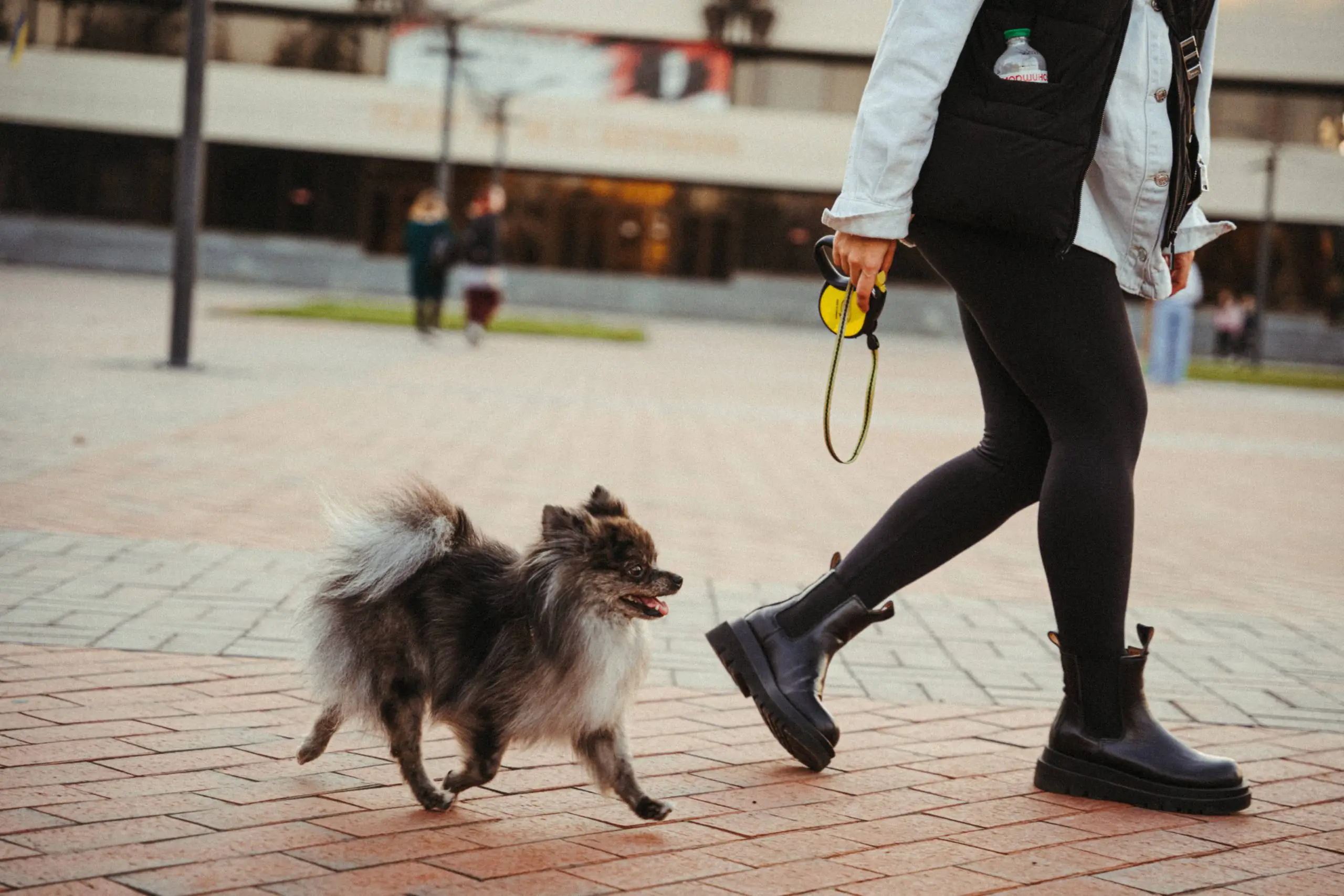 tinywow ION 22 38954252 scaled