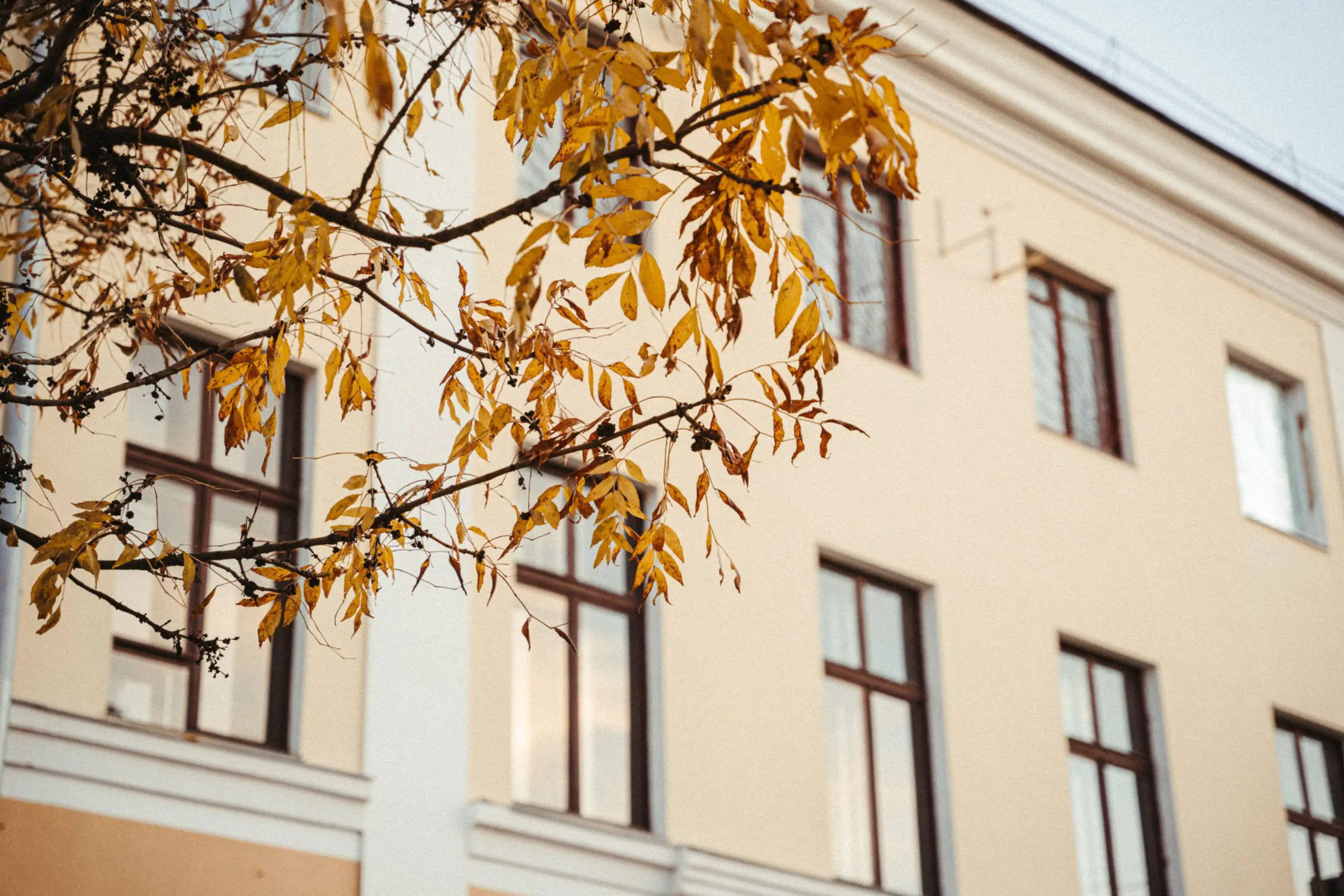 tinywow ION 47 38949666 scaled