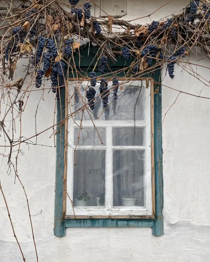 413790933 887905073342273 2588326482192832822 n