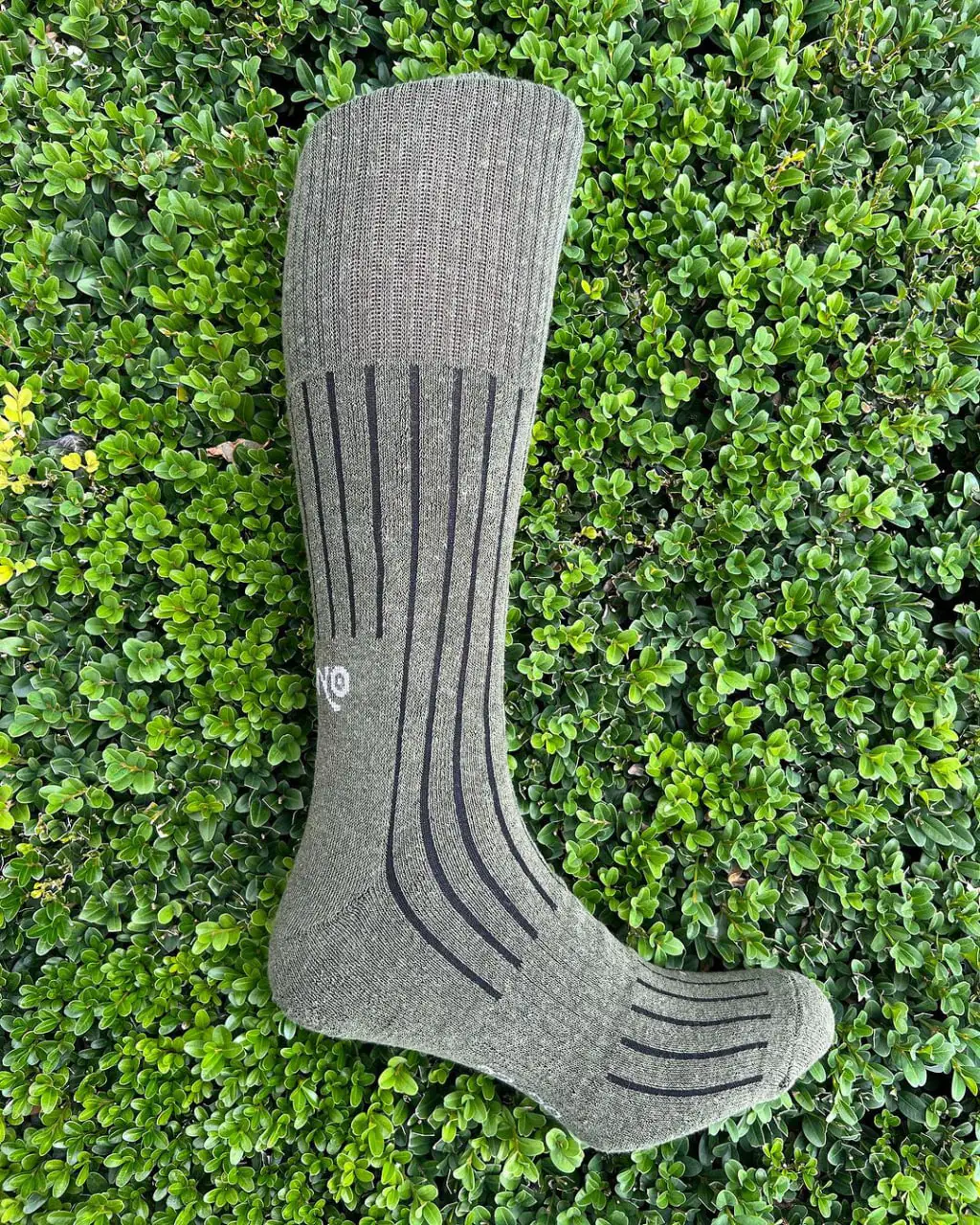 photo_2024-01-24_14-32-52