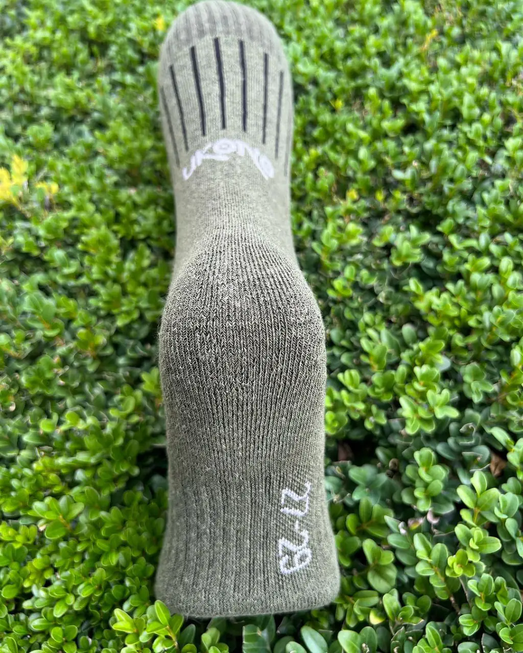 photo_2024-01-24_14-32-54