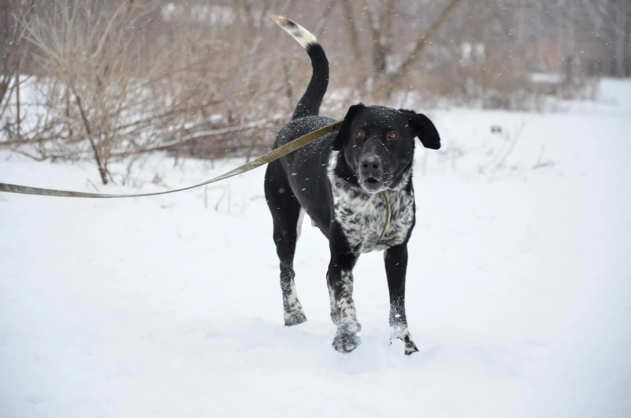 417398328_734525922125257_9095096379749557818_n