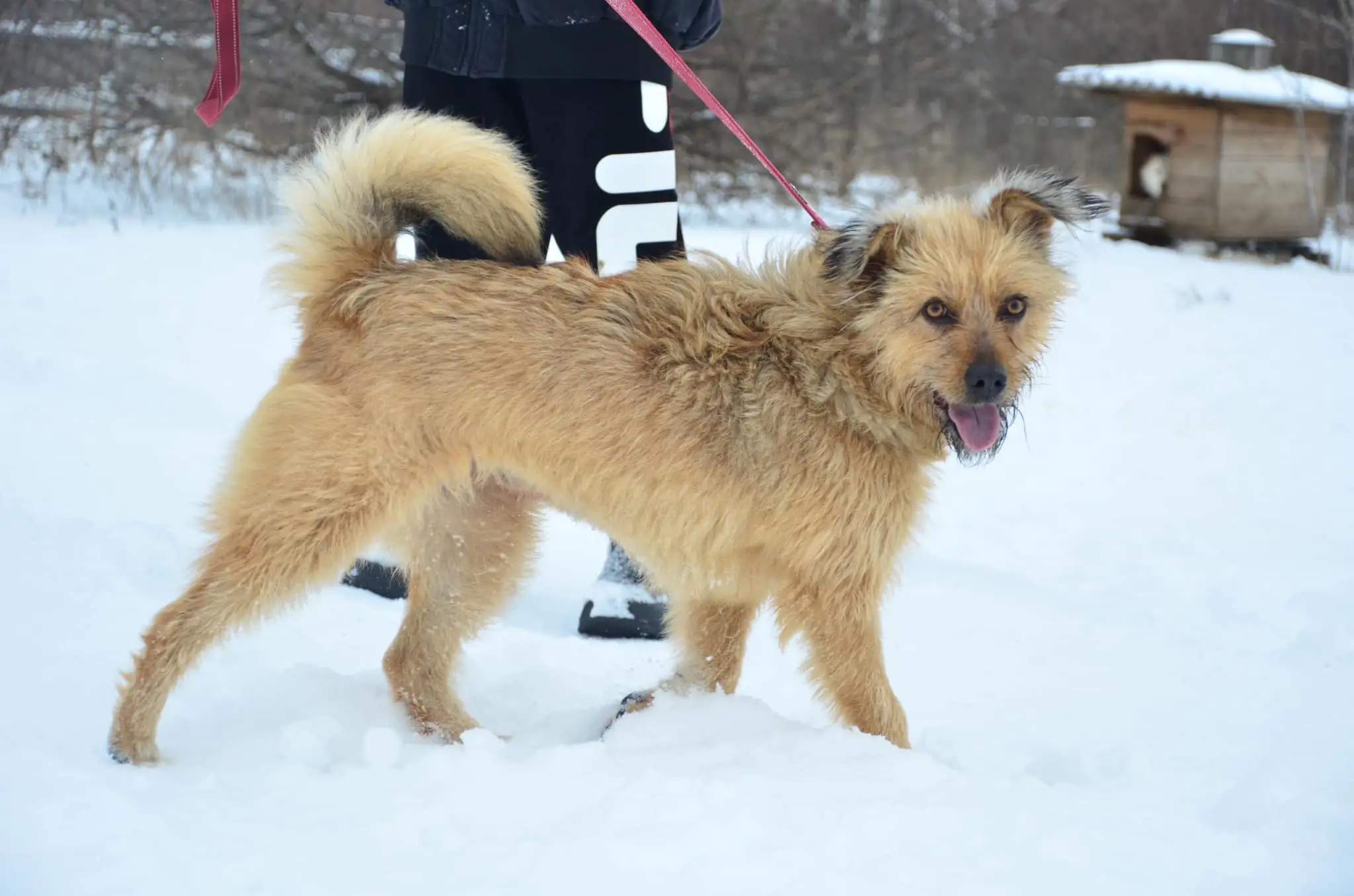 417406458_734525582125291_4530266670287273805_n