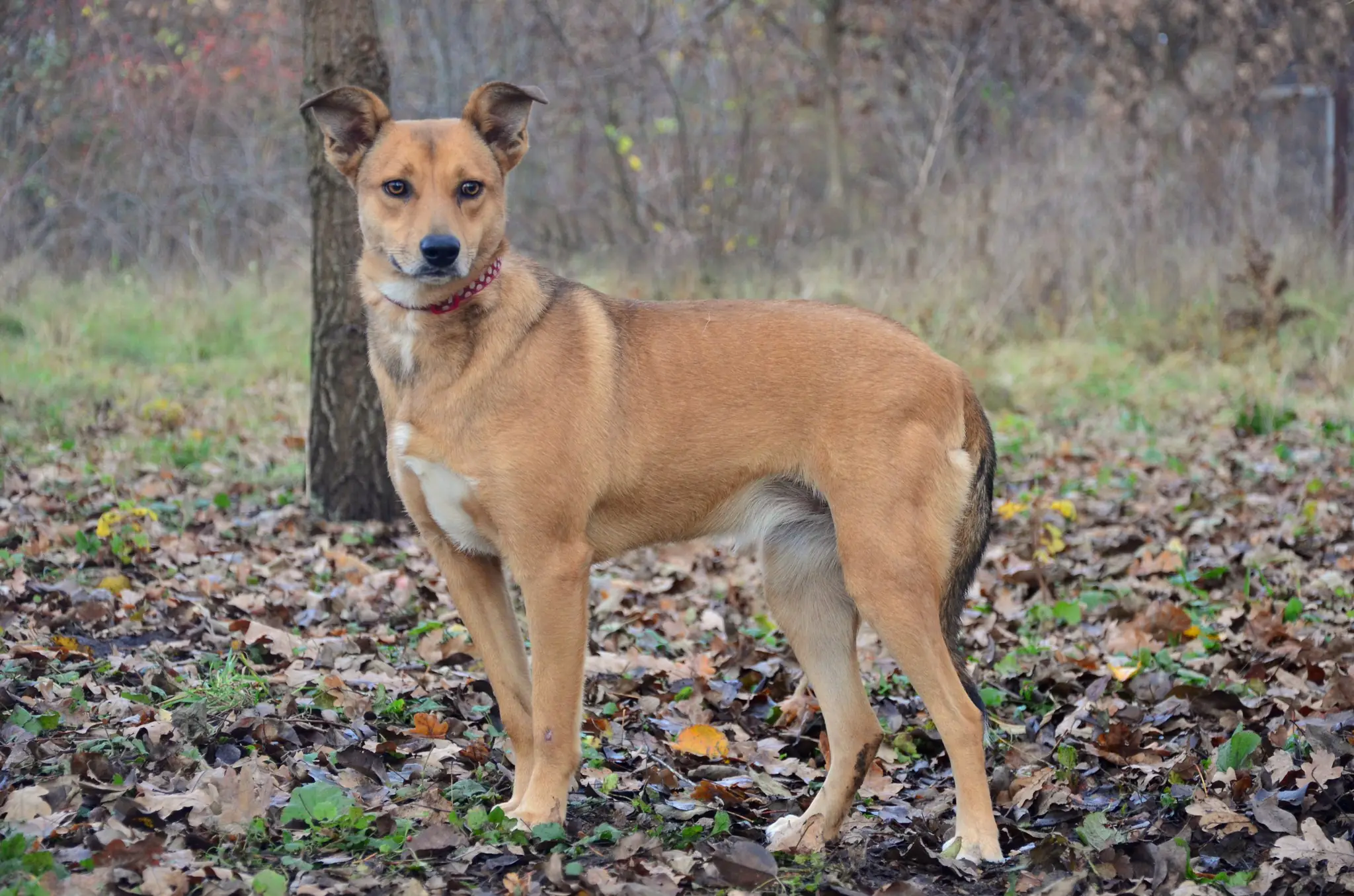 417418474_735063405404842_1394177268207280819_n