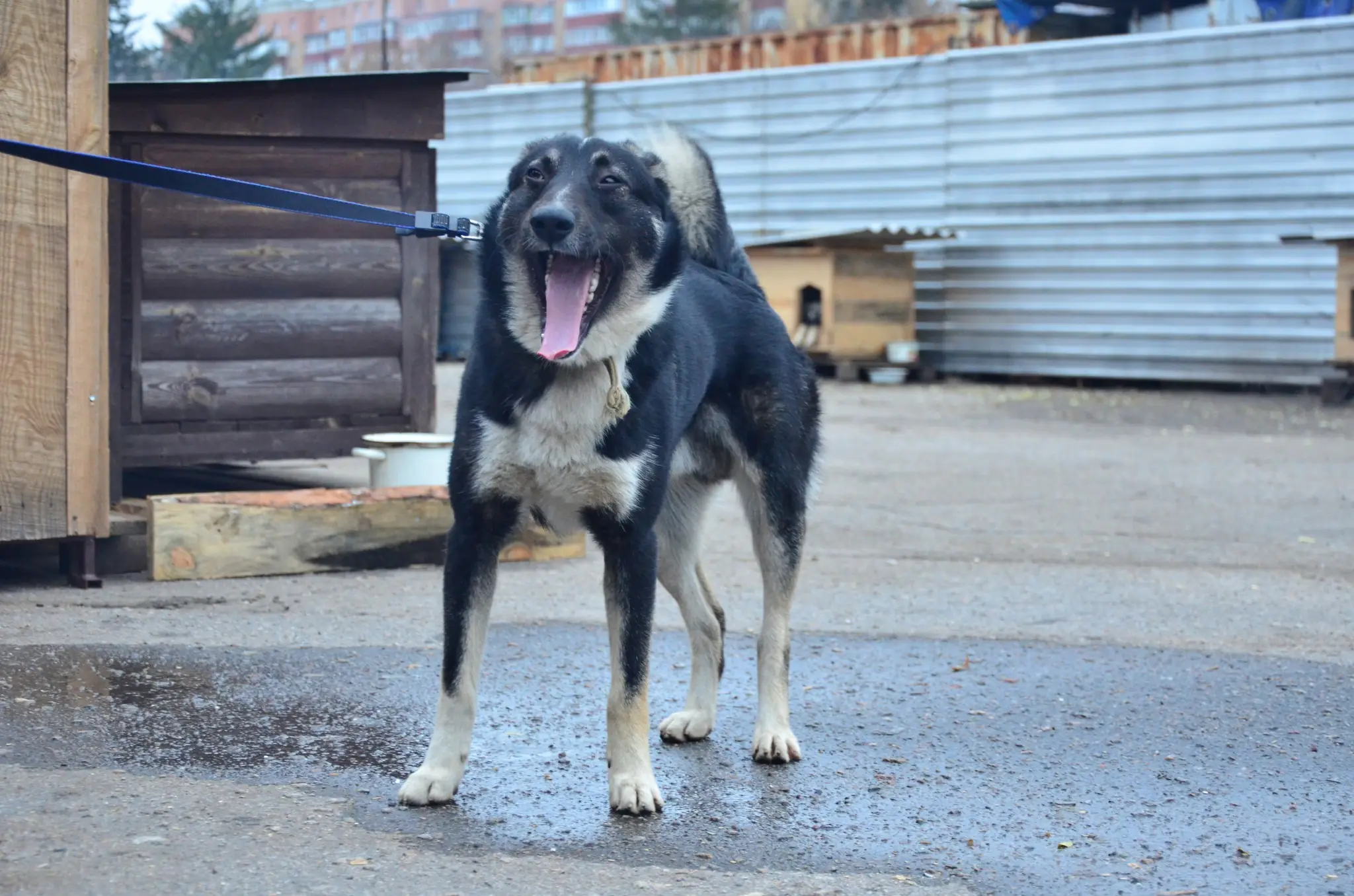 417538581_734526172125232_628748835948818423_n