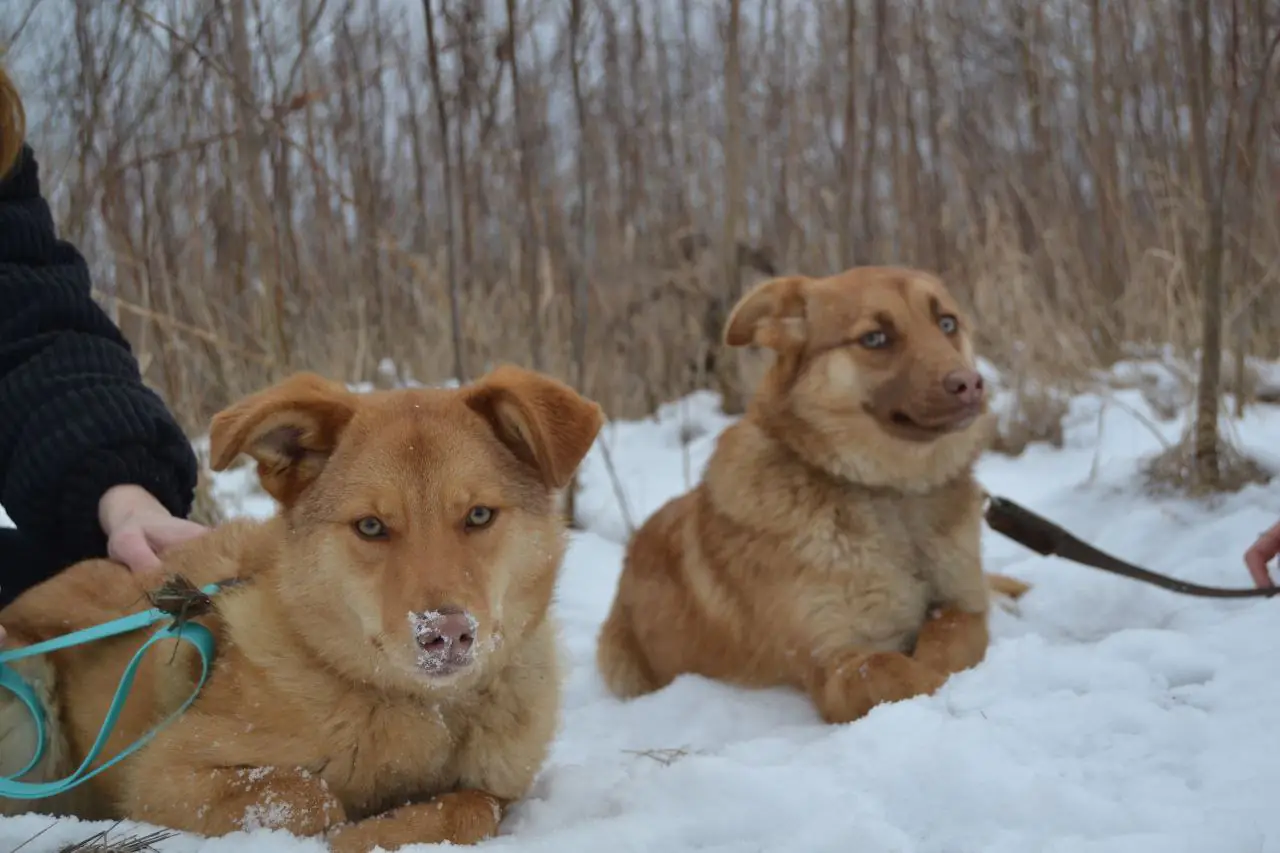 417553018_734526312125218_6868719265379245142_n