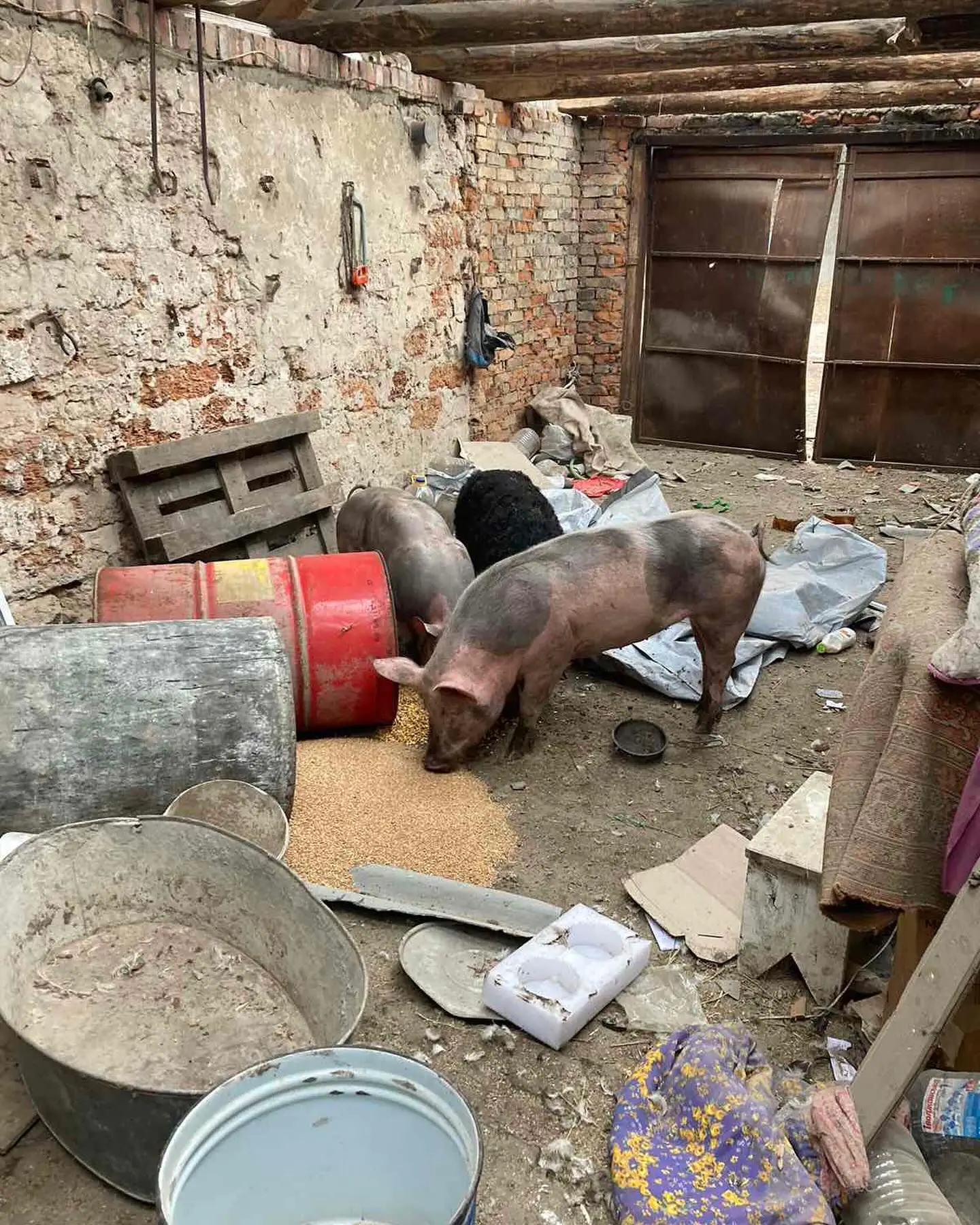 432429029_18201607213303810_101765861194129009_n