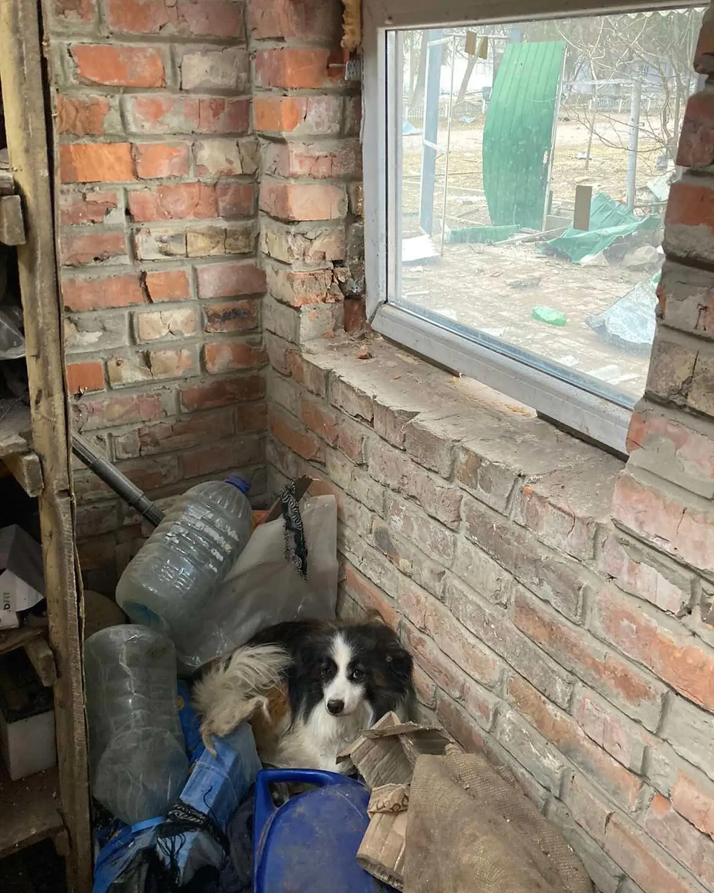 433647176_18201607204303810_5642017484430443345_n