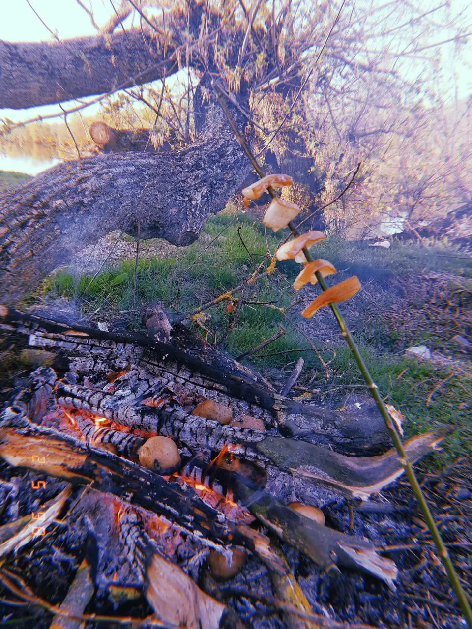 photo_3_2024-04-26_17-56-13