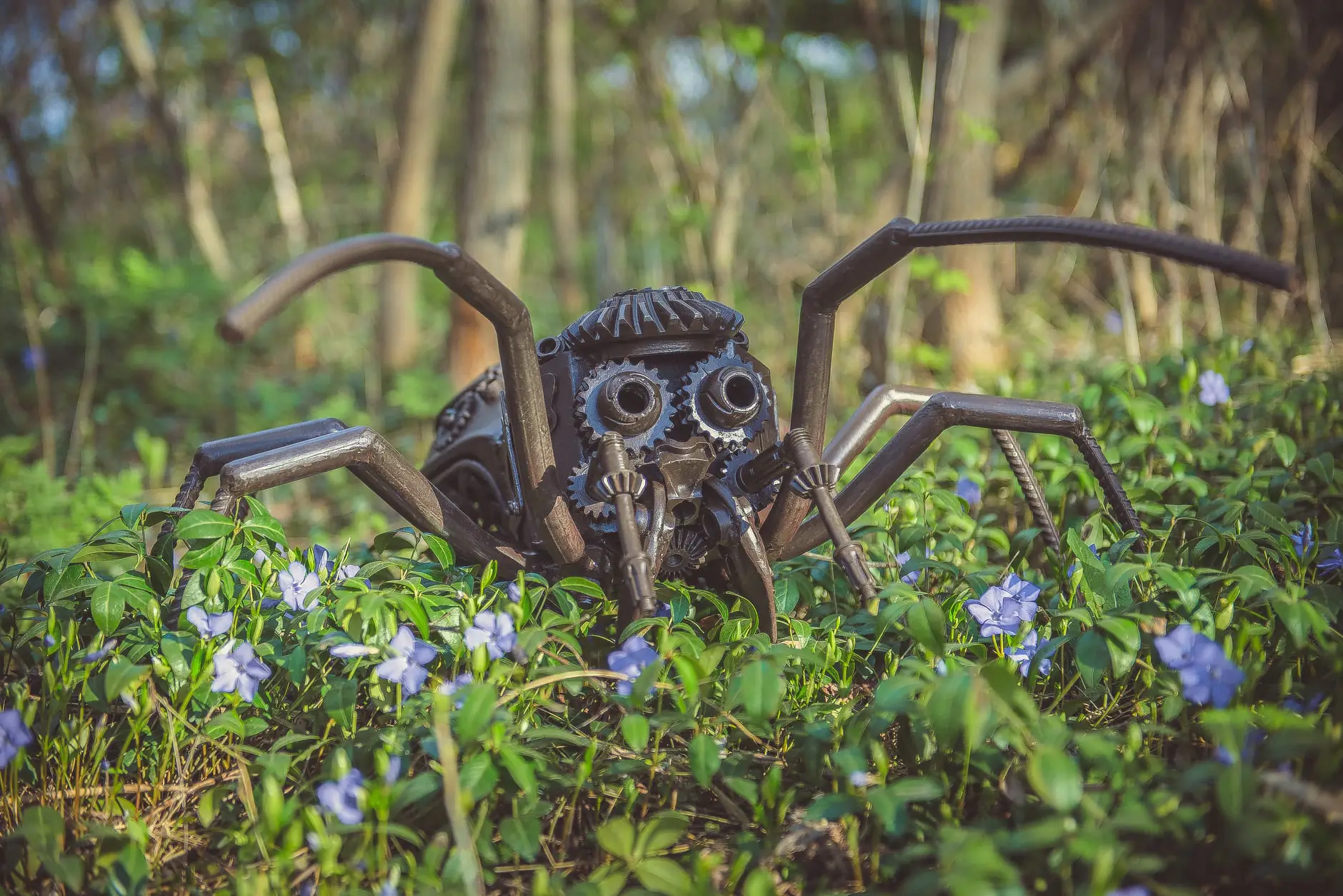 280269347 355479233312069 4413663355038518010 n 1