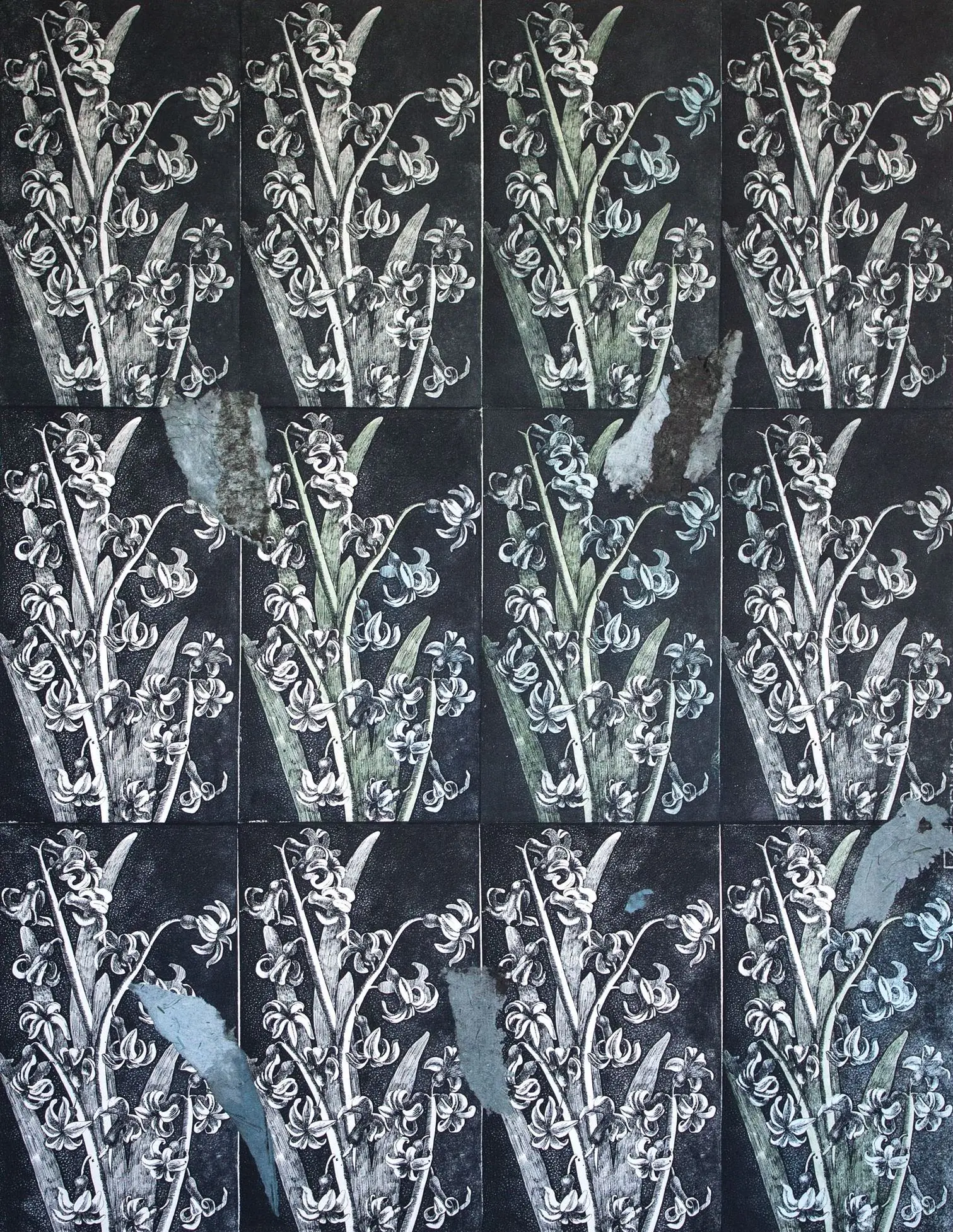 429661616_908089537984046_7815505401897376856_n-1