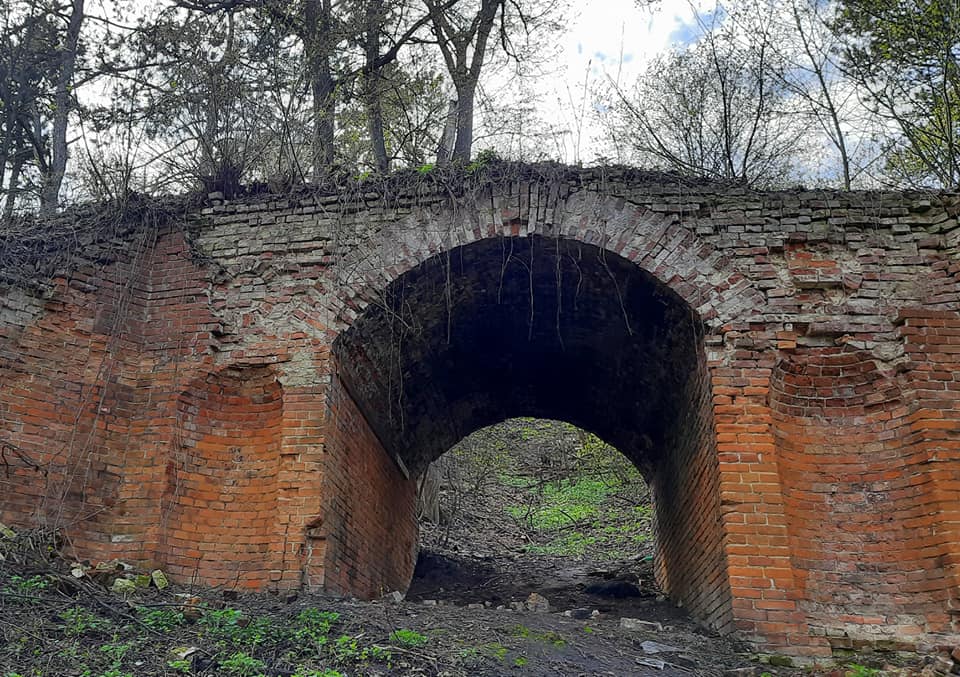 177655110_1678828868985746_9062970964517912361_n