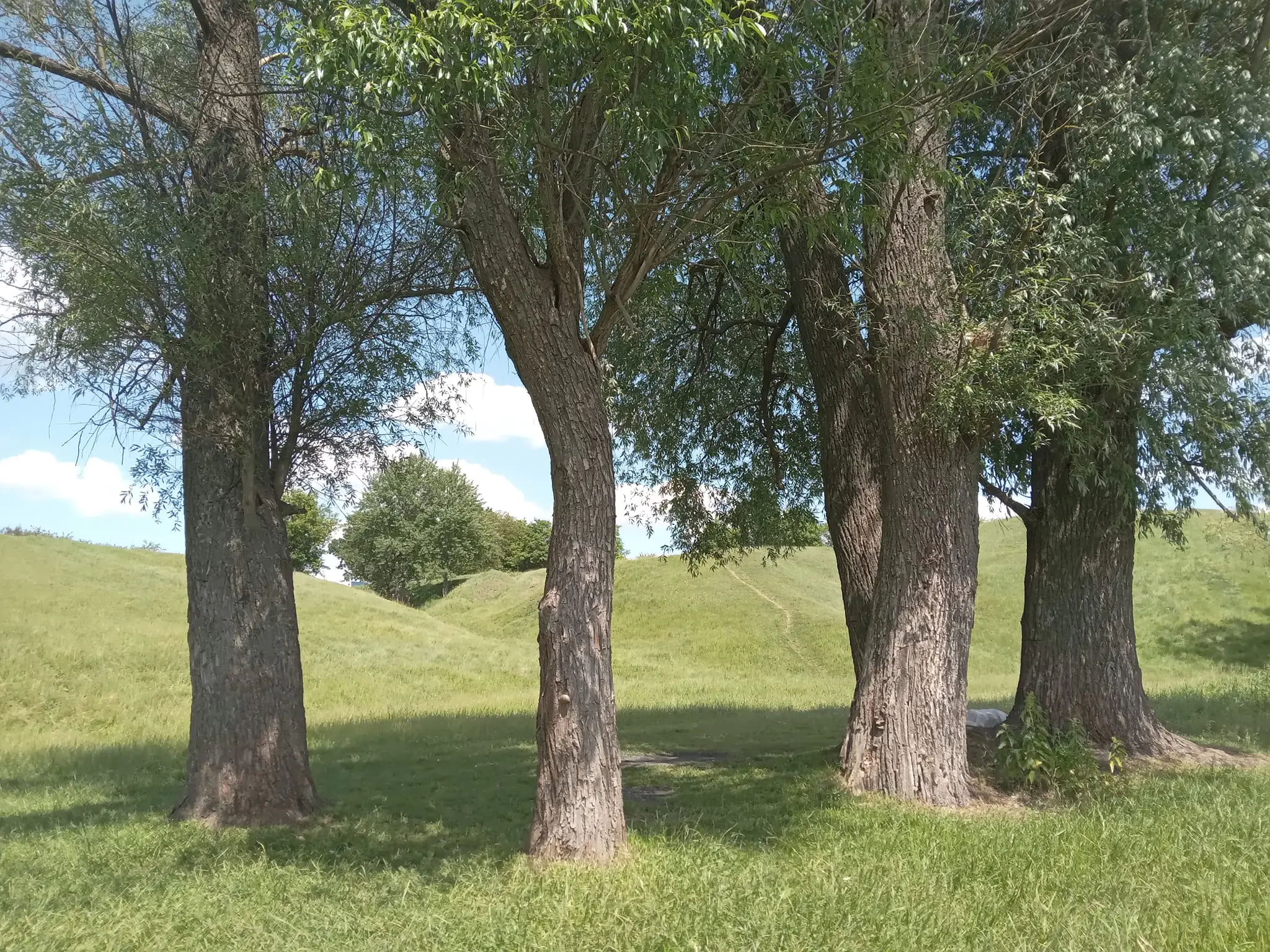 352259980_248744867745753_523237248594003424_n