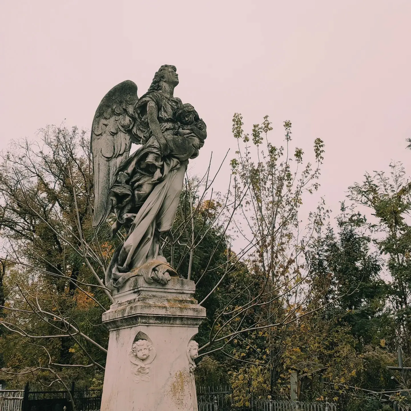 395173942_1560531428107724_2848113828861328600_n