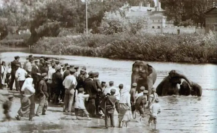 437728455_7409298202458609_5819519700175464706_n