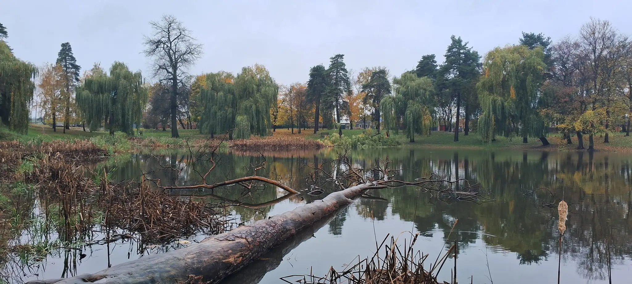 448585840_7682702461784847_3614433028794657708_n