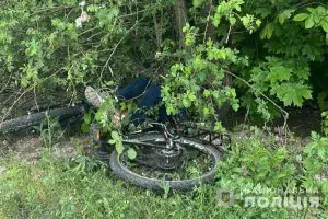 photo 2024 05 11 19 12 52 2