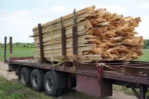 photo 2024 07 09 11 44 37 (3)