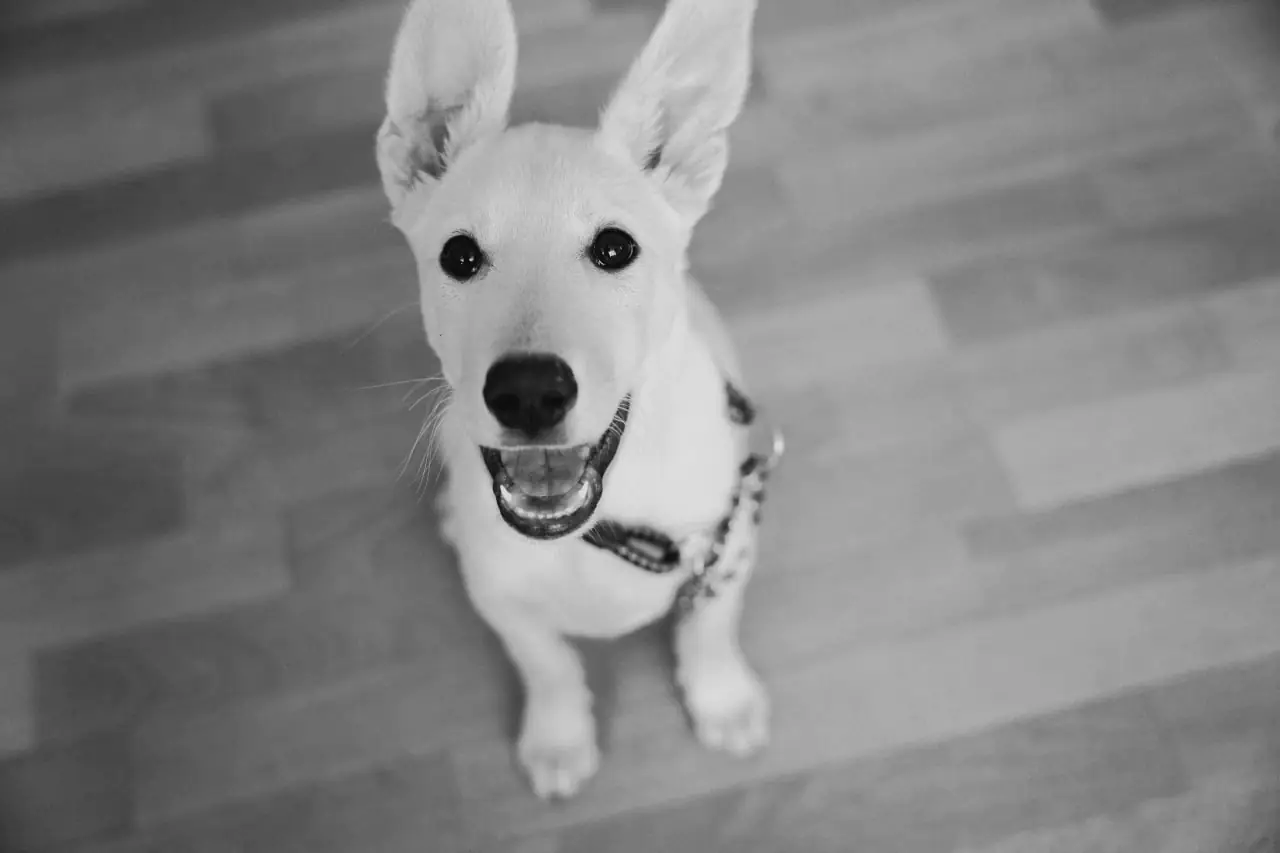 photo 2024 07 19 17 03 48