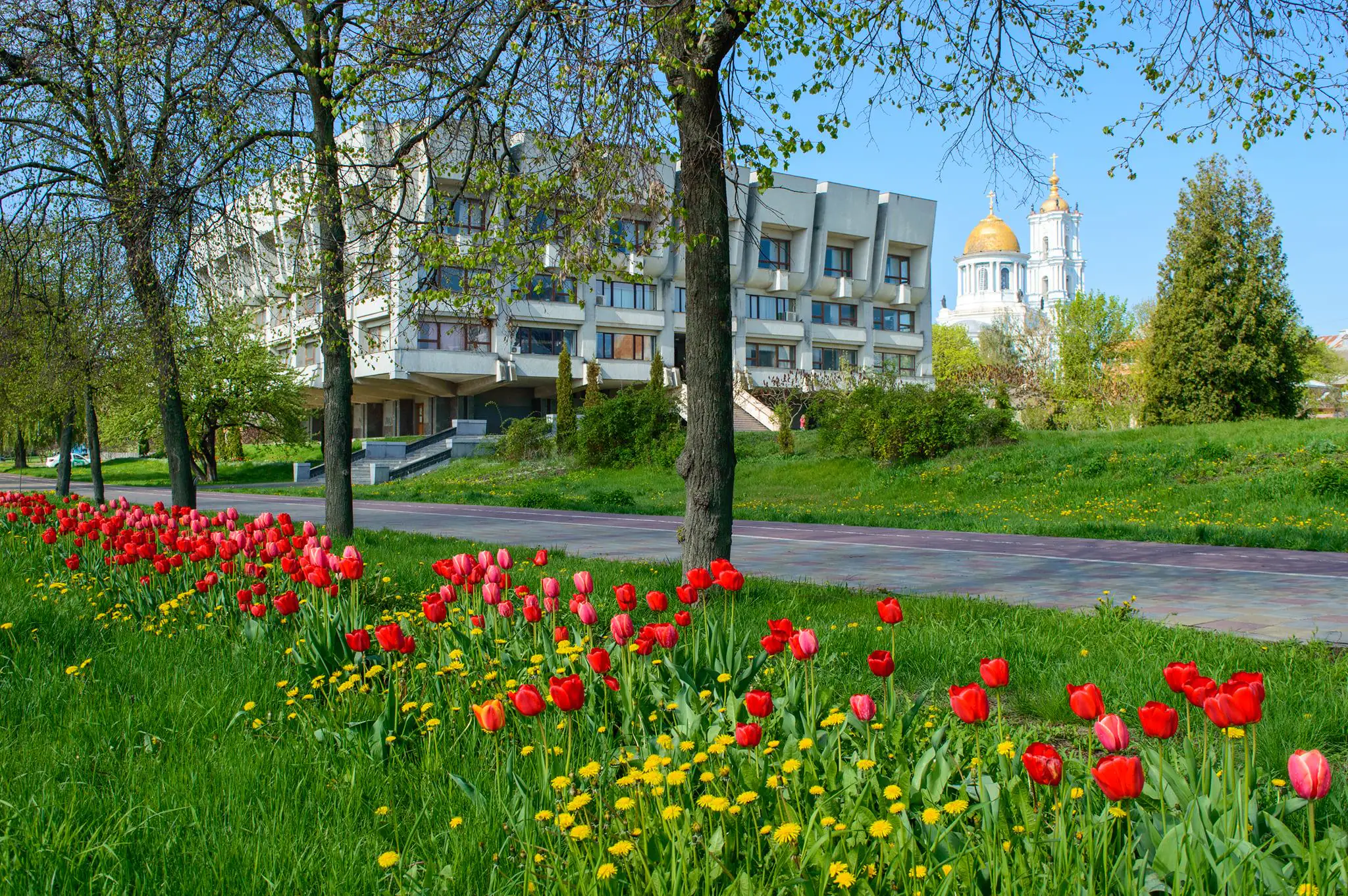 183491995 2890255864581611 1065391792721109664 n