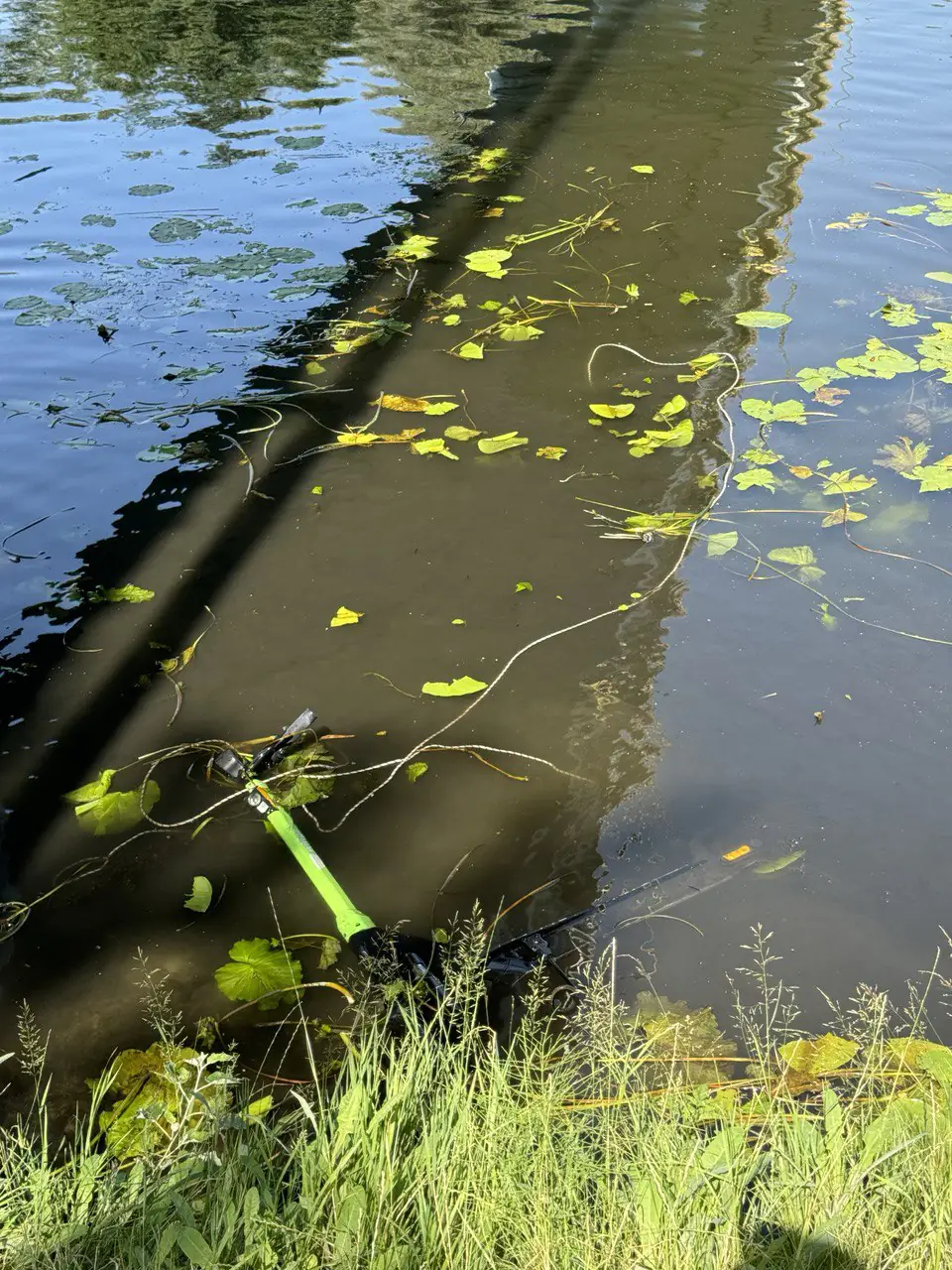 photo 2024 07 31 14 46 55