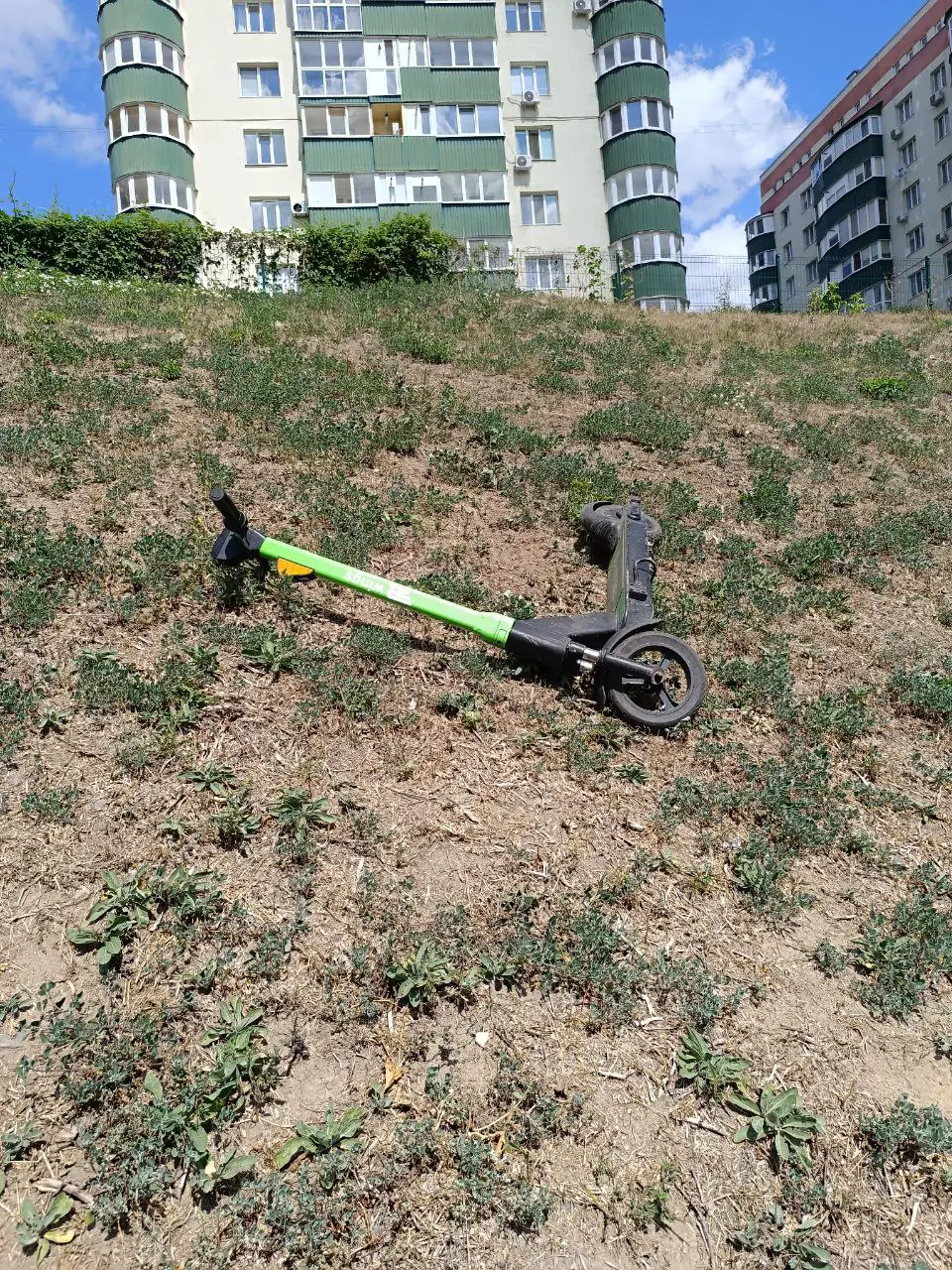 photo 2024 08 09 12 41 14