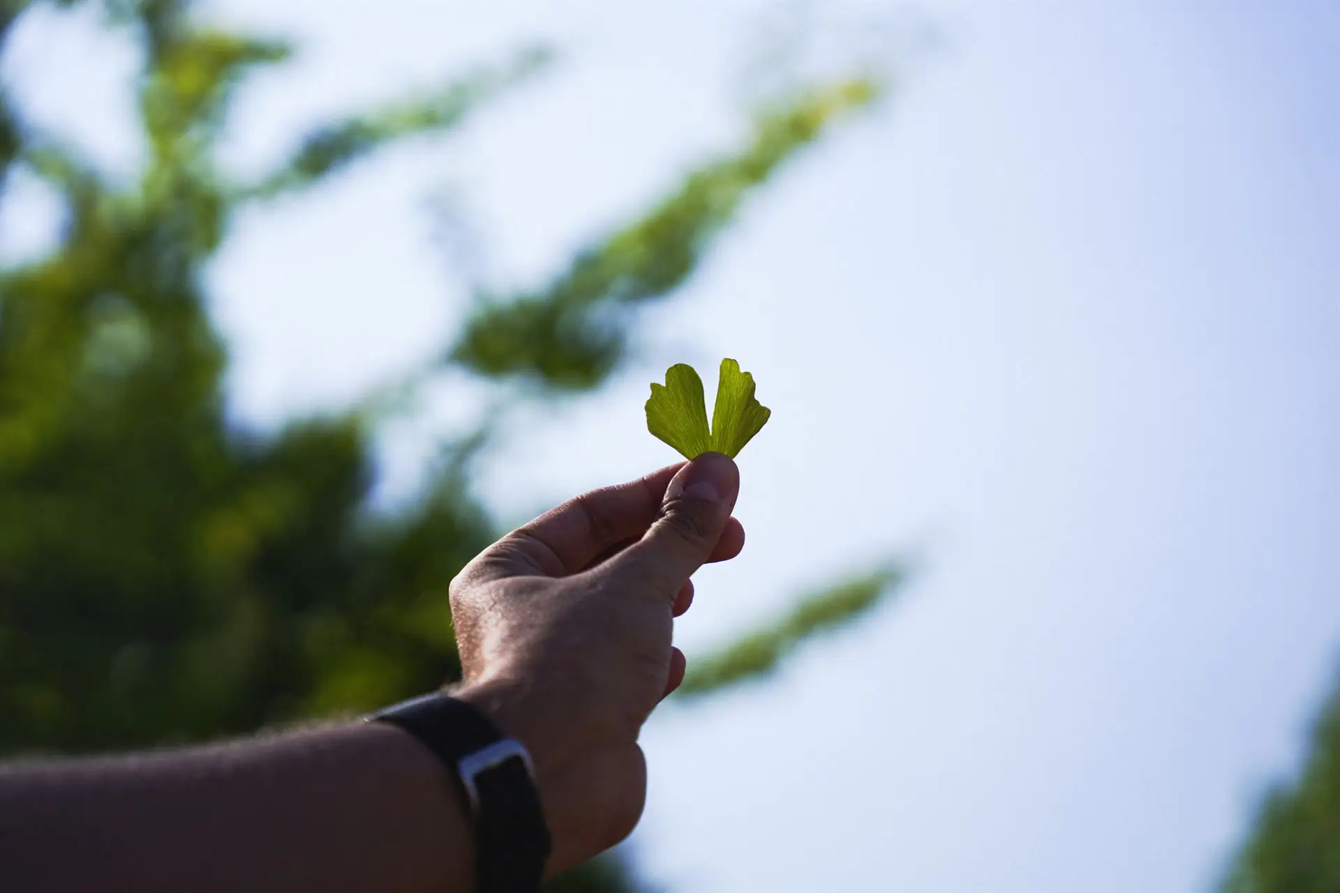 DSC09357 1 DSC09357 1