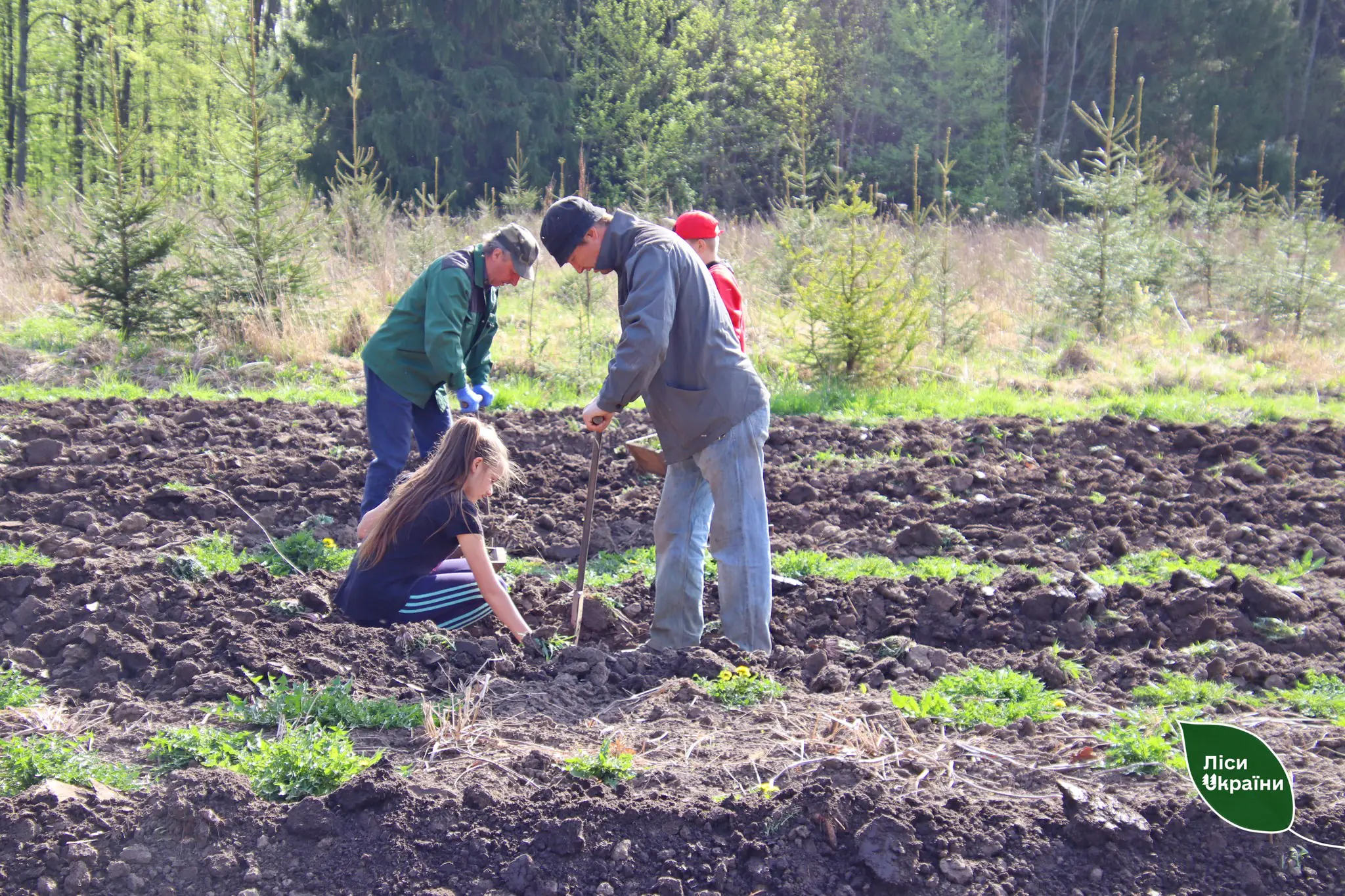 436366059 393549343640576 986250826865386663 n 436366059 393549343640576 986250826865386663 n