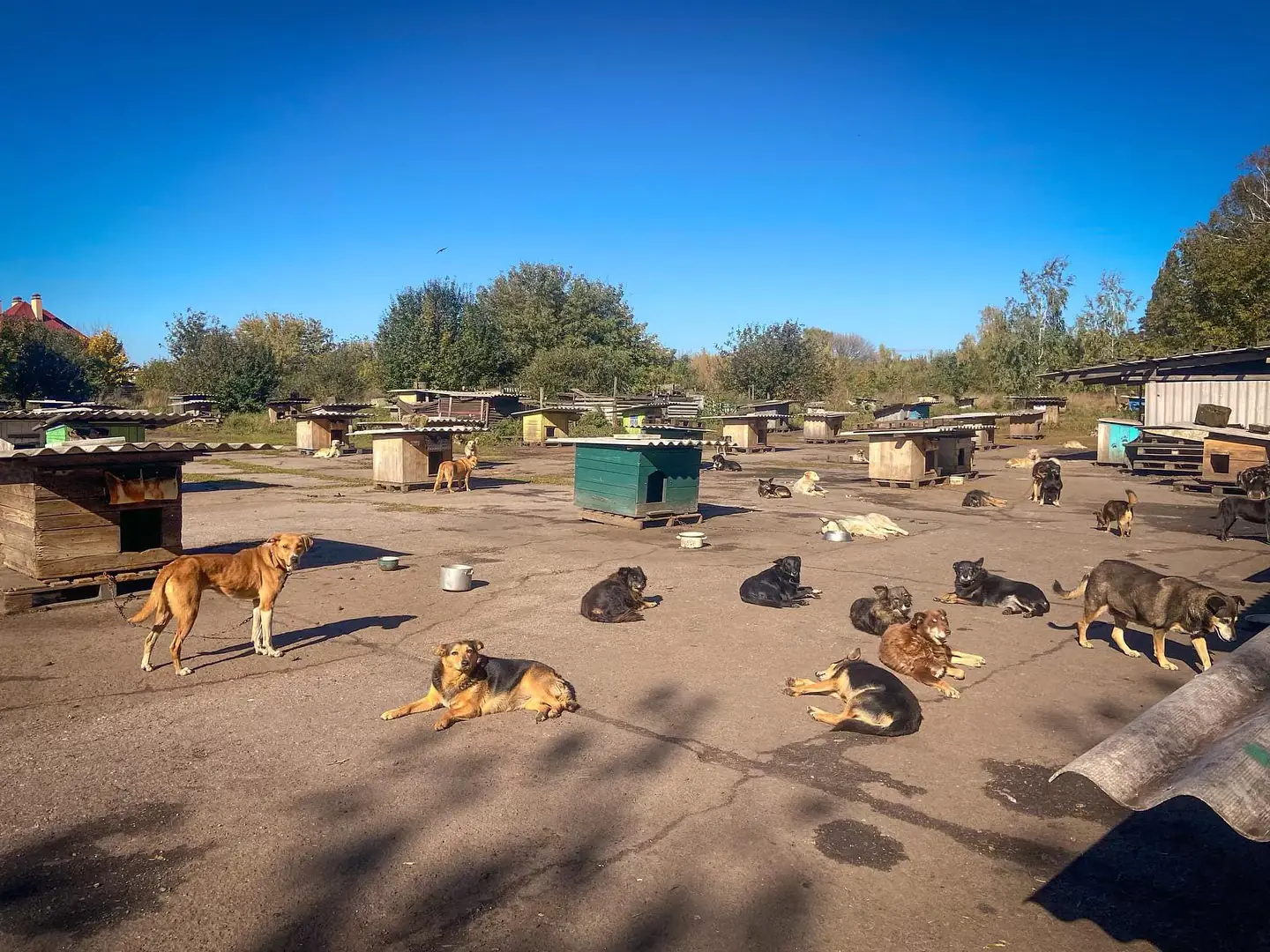 462678272 876340734610441 7973515632927126962 n 462678272 876340734610441 7973515632927126962 n