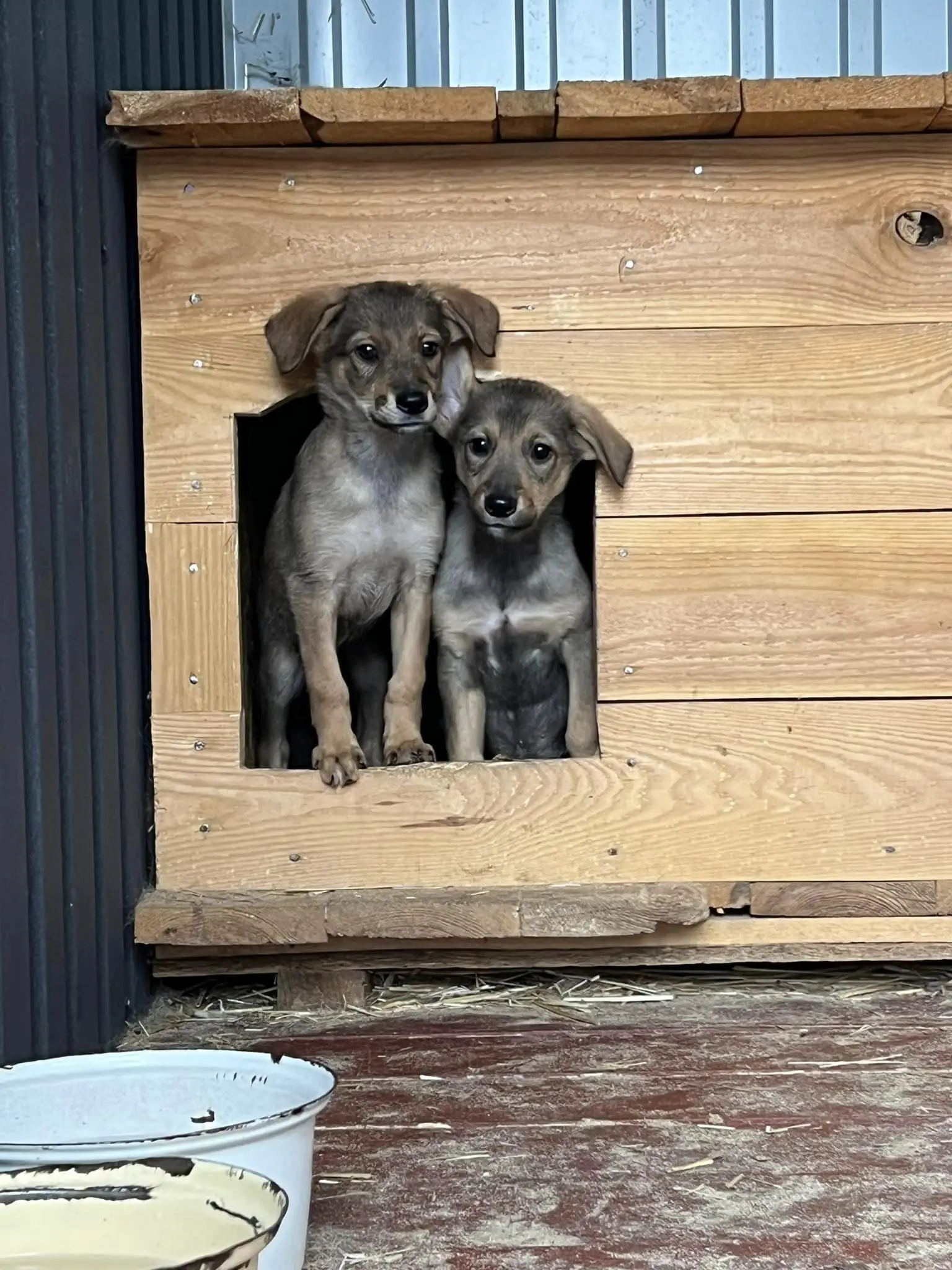 462768805 878579391053242 3469081070104529330 n 462768805 878579391053242 3469081070104529330 n