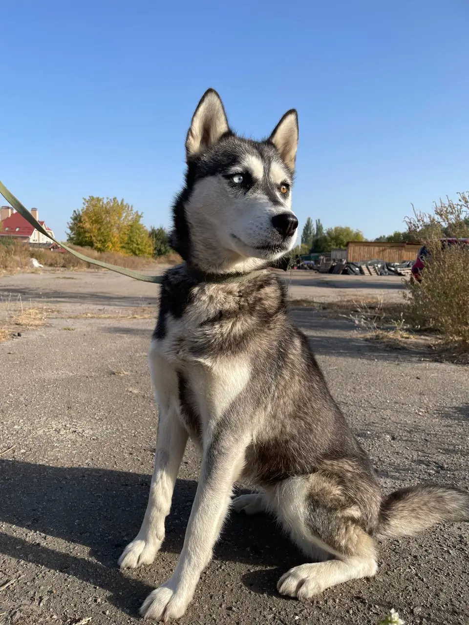 463118696 878709197706928 3013389674656364779 n 463118696 878709197706928 3013389674656364779 n