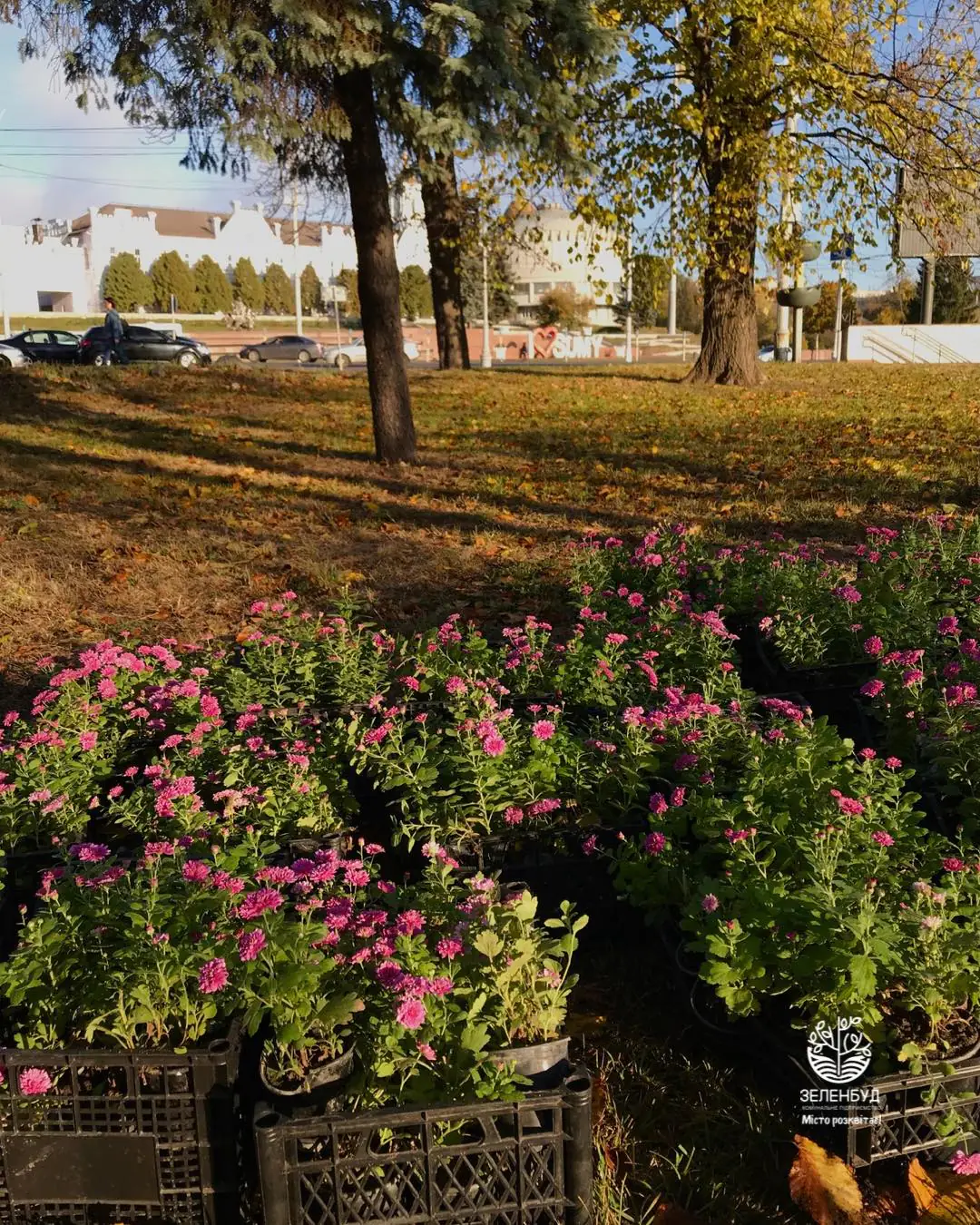 464084999 535795882532040 7138589618452984999 n 464084999 535795882532040 7138589618452984999 n