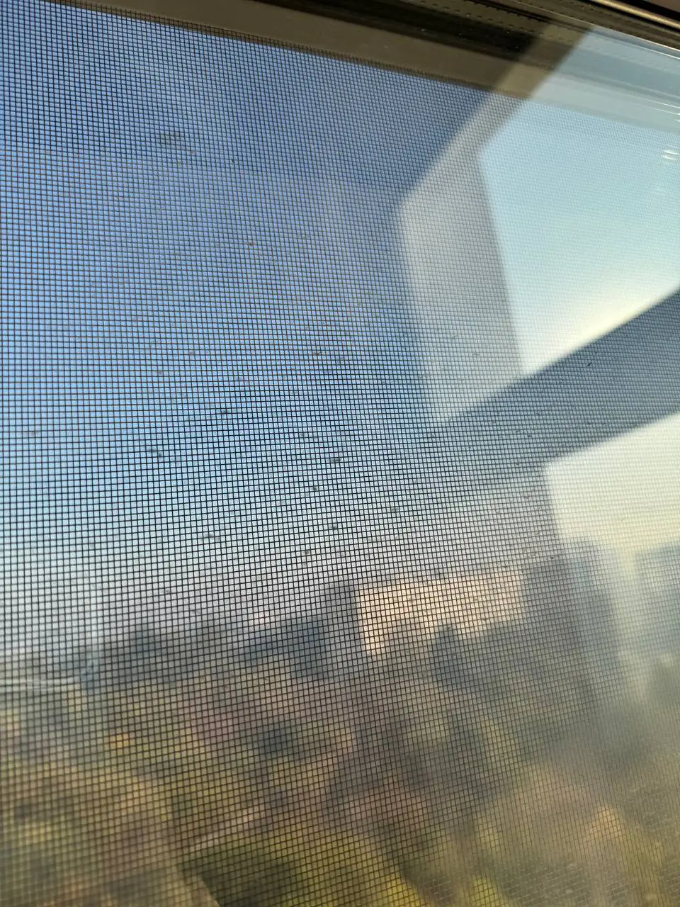 photo 2024 10 03 08 41 18 photo 2024 10 03 08 41 18